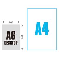 エトランジェ・ディ・コスタリカ 【2023版】A6 卓上カレンダー CLT-B-07 1セット(3冊)（直送品）