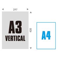 エトランジェ・ディ・コスタリカ 【2023版】A3 壁掛カレンダー バーチカル CLV-A3-14 1セット(2冊)（直送品）