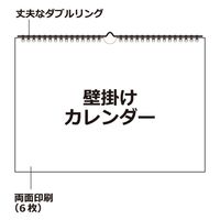 エトランジェ・ディ・コスタリカ 【2023版】A3 壁掛カレンダー CLX-A3-01 1セット(2冊)（直送品）