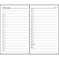 ダイゴー 【2023年版】アポイント 手帳サイズ 1週間 月曜始まり ブラック E1019 1冊（直送品）