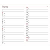 ダイゴー 【2023年版】アポイント 手帳サイズ 1週間+横罫 月曜始まり ブラック E1010 1冊（直送品）