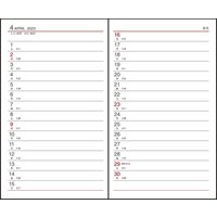 ダイゴー 【2023年版】アポイント 手帳サイズ 1週間+横罫 月曜始まり ブラック E1020 1冊（直送品）