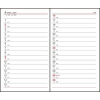 ダイゴー 【2023年版】アポイント 手帳サイズ 1週間+横罫 月曜始まり ブラック E1300 1冊（直送品）