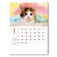 【2023年版】壁掛カレンダー サンキュー・キャット 46/8切 NK8455 1冊 新日本カレンダー（直送品）