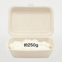 パックスタイル WBランチ 180-130 ラミ 500枚(50×10) 00686419 1セット(50枚×10 合計500枚入)（直送品）