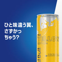 レッドブル・エナジードリンク イエローエディション 250ml 1セット（48缶）