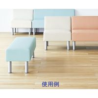 【軒先渡し】アスプルンド ロビーベンチ 背付 幅1800mm ブラック 284446 1台（直送品）