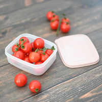 ウィルマックス レクタングルコンテナ(角型)XS(370ml) ピンク(セット品:10個) 4570030351749 1セット:10個（直送品）