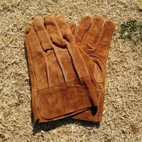 ヤマショウ アウトドア牛革外縫い手袋　ブラウン　当て付き　M YKG-011BRM 1箱(60双入り)（直送品）