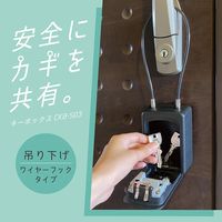 【キーボックス】カール事務器 スペアキーボックス（ワイヤー吊り下げタイプ）黒 CKB-S03-K 1個