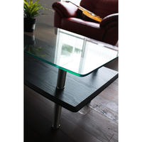 【軒先渡し】あずま工芸 ブリーズ ガラスリビングテーブル 幅1100×奥行550×高さ410mm ブラック GLT-2329 1台（直送品）