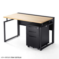 サンワサプライ キャビネット 幅390×奥行534×高さ600mm ホワイト SNW-106BK 1台（直送品）