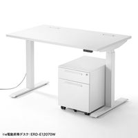 サンワサプライ キャビネット 幅390×奥行534×高さ478mm ホワイト SNW-105W 1台（直送品）