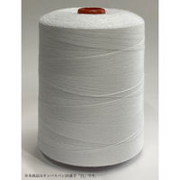 アズマ　工業用ミシン糸　キンバスパン#20/4000m　2136番色　1セット（4000m巻×6本）（直送品）