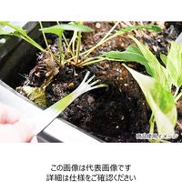 藤原産業 千吉 クマデ付きピンセット クマデツキ 1セット(4個)（直送品）