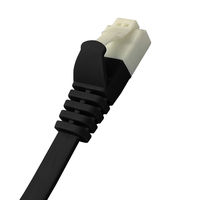 磁気研究所 CAT6A フラットLANケーブル 10m ツメ折れ防止構造のプラグを採用 HDLANF100CAT6A 1個