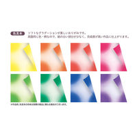 ショウワノート 両面おなじ色のダブルソフトハーモニーおりがみ 8色調 15cm 231523 1セット(5個)