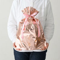 ヘッズ アルミ蒸着リボン付バッグーS/ピンク APN-RBS 1パック（20枚入）