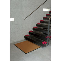 大一産業 デリサムマット　６００×９００ｍｍ　ゴールド 4981390362007 1枚（直送品）