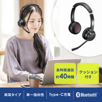 サンワサプライ Bluetoothヘッドセット(両耳タイプ・単一指向性) MM-BTSH62BK 1個（直送品）