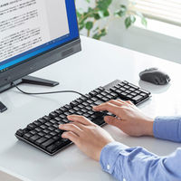 サンワサプライ メカニカルキーボード SKB-MK3BK 1台