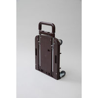 YAMAZEN プレミアムコンパクトCARRY OTG-HS(DBR) OTG-HS(OD) 1台（直送品）