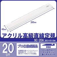 ライオン事務器 再生アクリル製インジェクション成型定規 20cm SC-20A 日本製 27183 1セット(2本)