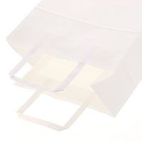 【紙袋】 Nフラットチャームバッグ 平手 220-2 白無地 003277431 1袋（50枚入）シモジマ