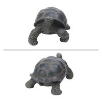 紅石 ゾウガメ（大）ＱＹー１５５　1個（直送品）