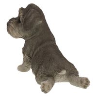 紅石 きゅうけいシュナウザー　ＱＹー１９３　1個（直送品）