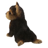 紅石 きゅうけいヨークシャー　ＱＹー１９７　1個（直送品）