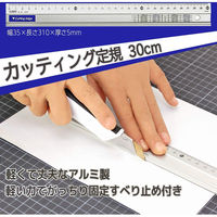 ライオン事務器 アルミカッティング 定規 30cm AL-30 27160 1セット(4本)