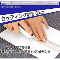 ライオン事務器 アルミカッティング定規 60cm AL-60 27163 1本