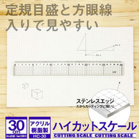ライオン事務器 ハイカットスケール 定規 30cm HC-30 27171 1本