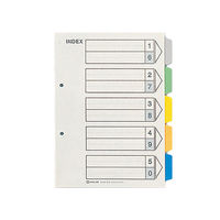 キングジム カラーインデックス B5タテ 5山 2穴 905　10組（わけあり品）