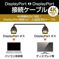 DisplayPort ケーブル 1m ver1.2 4K/60p CAC-DP1210BK エレコム 1個（わけあり品）