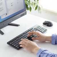 サンワサプライ ワイヤレス静音キーボード（2.4GHzワイヤレス・テンキーあり） SKB-WL37BK 1個（直送品）