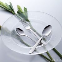 トーダイ IKD抗菌ステンレス ベイシス デザートフォーク 006208 1セット(1本×12)