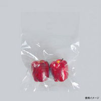 福助工業 ポリ袋　ニューポリ袋 025 No.13 (4穴)　2000枚(100×20) 0444359（直送品）