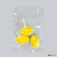 ポリ袋 ニューポリ袋 02 No.11 (4穴) 5000枚(100×50) 0446521 1ケース(5000枚入(100枚×50袋))（直送品）