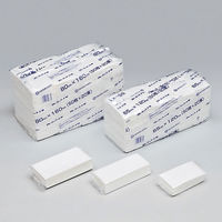 保鮮紙 フレッシュマットW 65×160mm 10000枚(1000×10) 132152 1ケース(10000枚入(1000枚×10袋))（直送品）