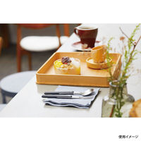 トーダイ 玄美 KAKU ケーキフォーク 12枚(1×12) 35400528 1ケース(12本入)（直送品）