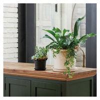 大和プラスチック グロウプレート 35型 ブラック 4903266729134 1個（直送品）