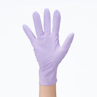 川西工業 検査検診用ニトリルグローブ ダリア 粉なし 250枚 L 2069L 1箱(250枚入)