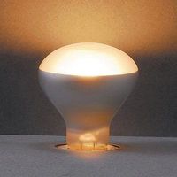 ヤザワコーポレーション 長寿命 ミニレフランプ R45 フロスト 40W形 E17 R451740L 1個