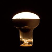 ヤザワコーポレーション RF100V38W/レフ形白熱ランプ RF100V38W 1個