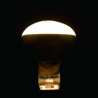 ヤザワコーポレーション レフ形白熱ランプ RF100V90W 1個