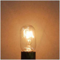 ナツメ球 T20 E12 10W クリア 2個パック T201210C ヤザワコーポレーション