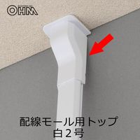 オーム電機 配線モール モールトップ 2号 白 DZ-FMT2W 1個