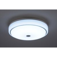 オーム電機 センサー付LED内玄関灯 昼光色 人感・明暗センサー ミニシーリング LT-Y18D-G-PIR（直送品）